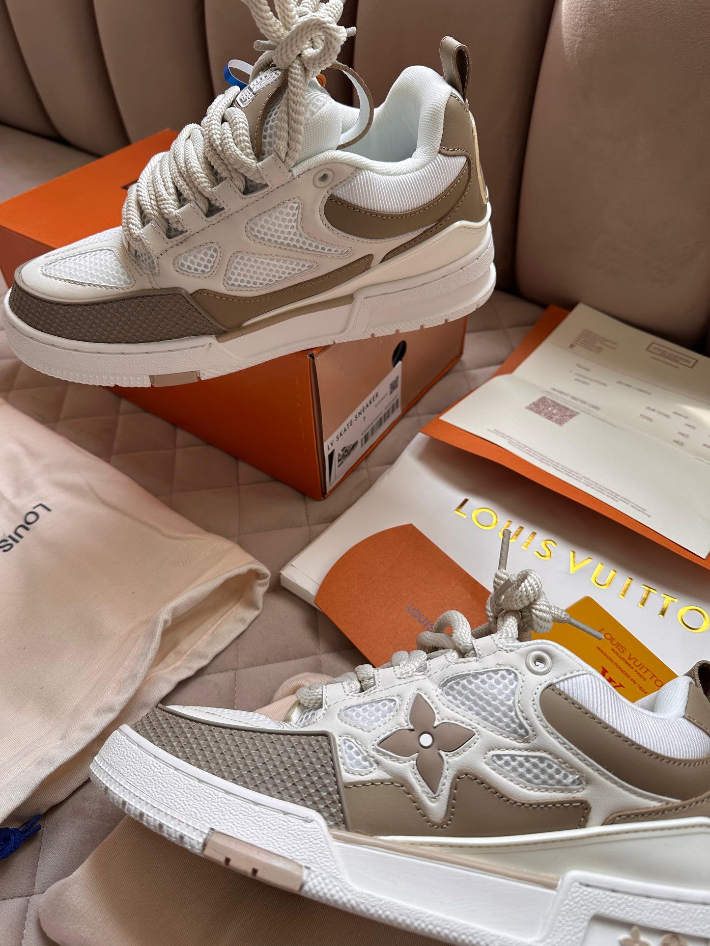 Zapatillas Louis Vuitton skate