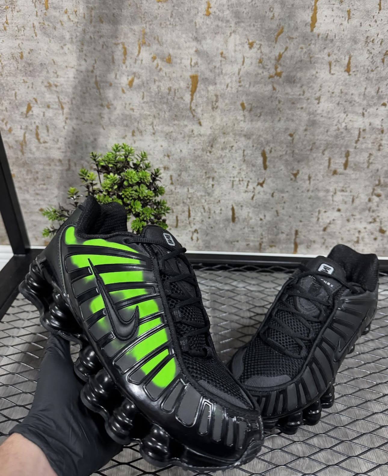Shox Camaleón
