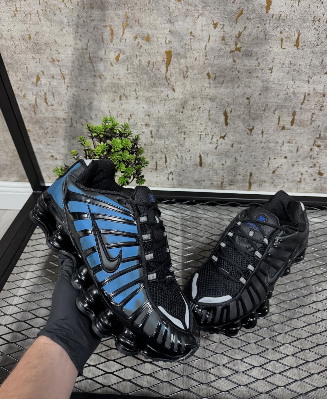 Shox Camaleón