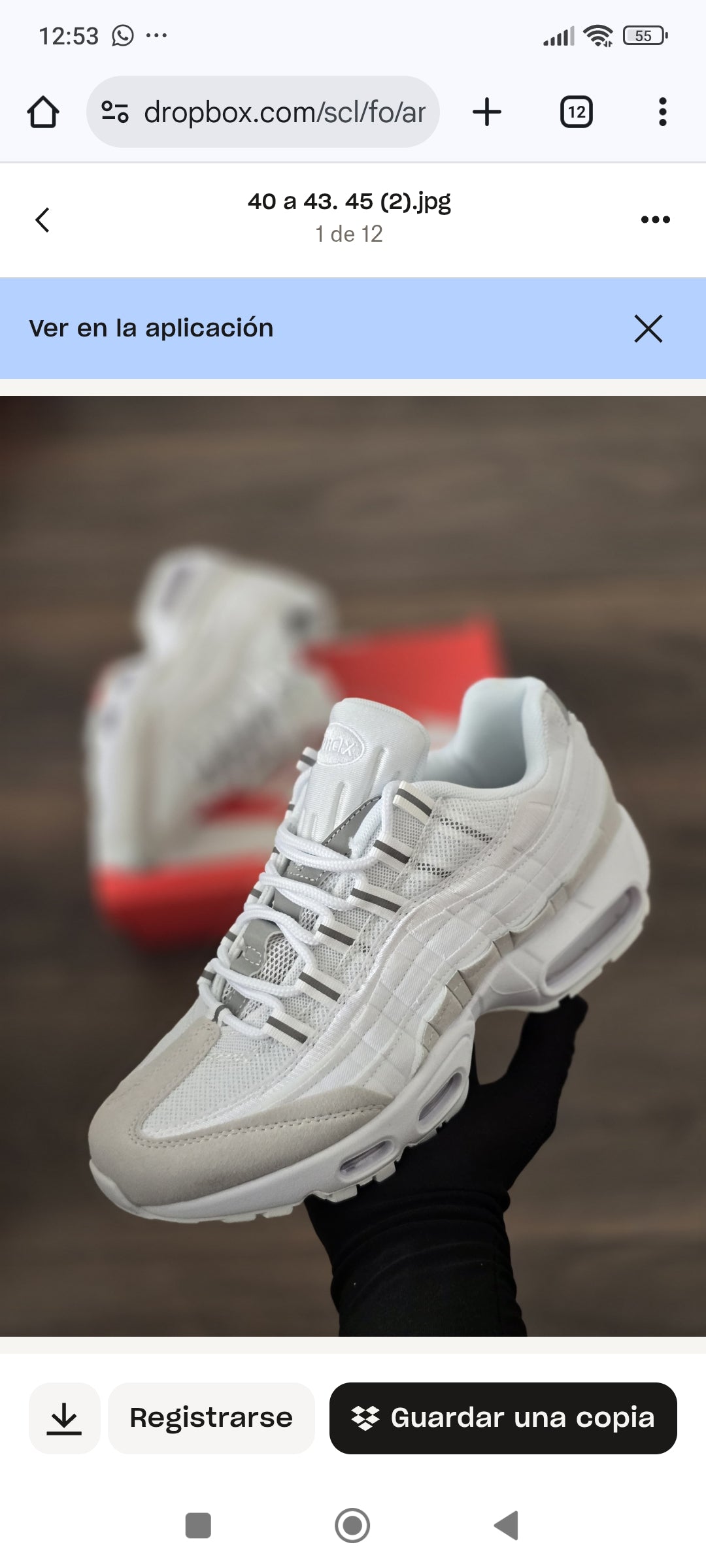 Airmax 95 (Varios Colores)