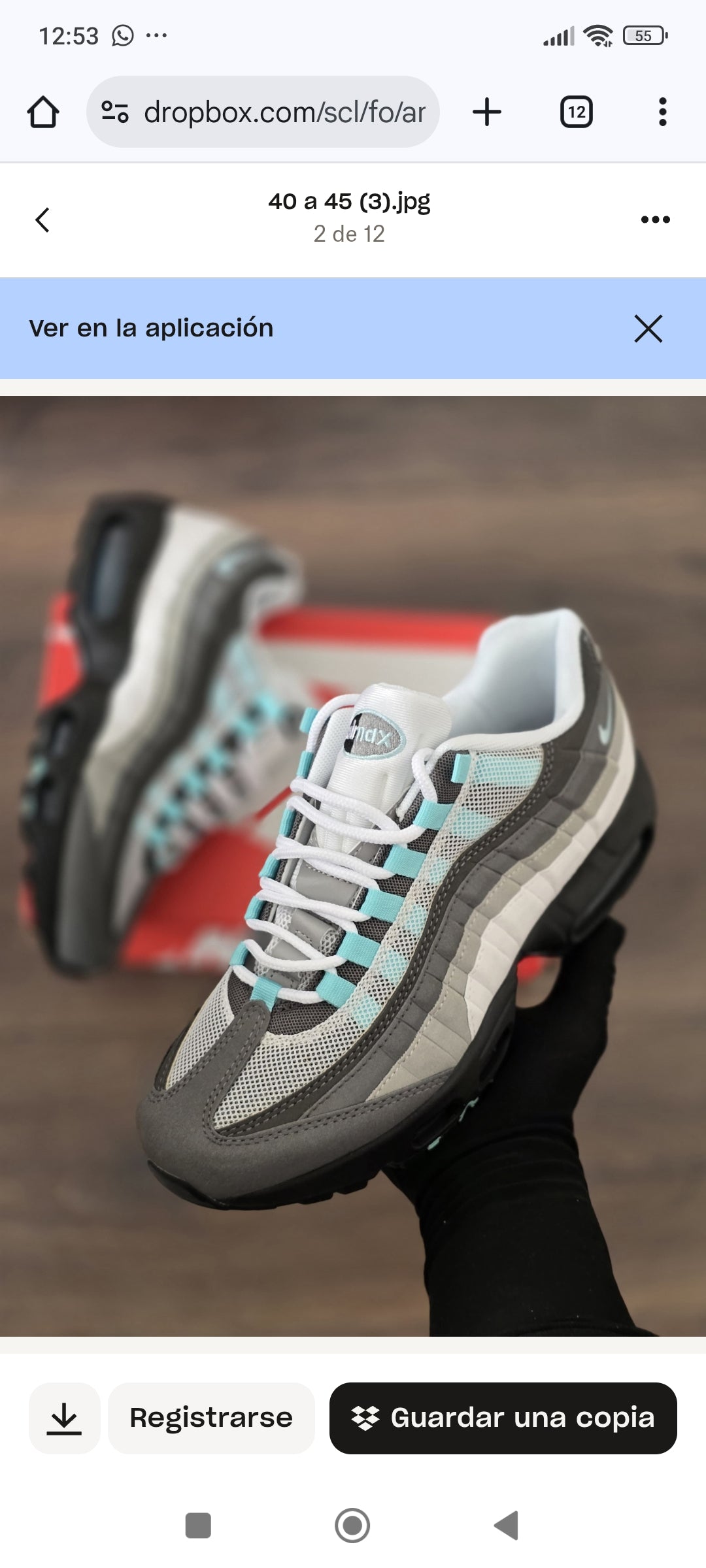 Airmax 95 (Varios Colores)