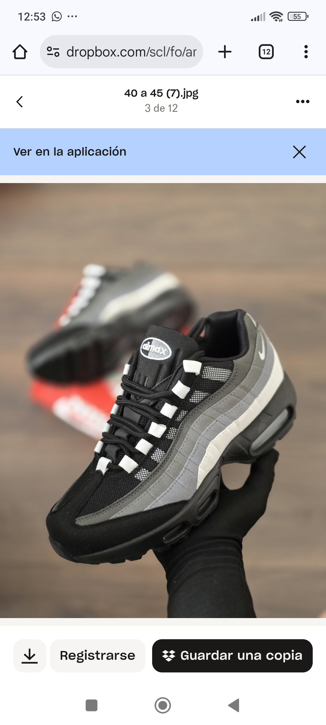 Airmax 95 (Varios Colores)