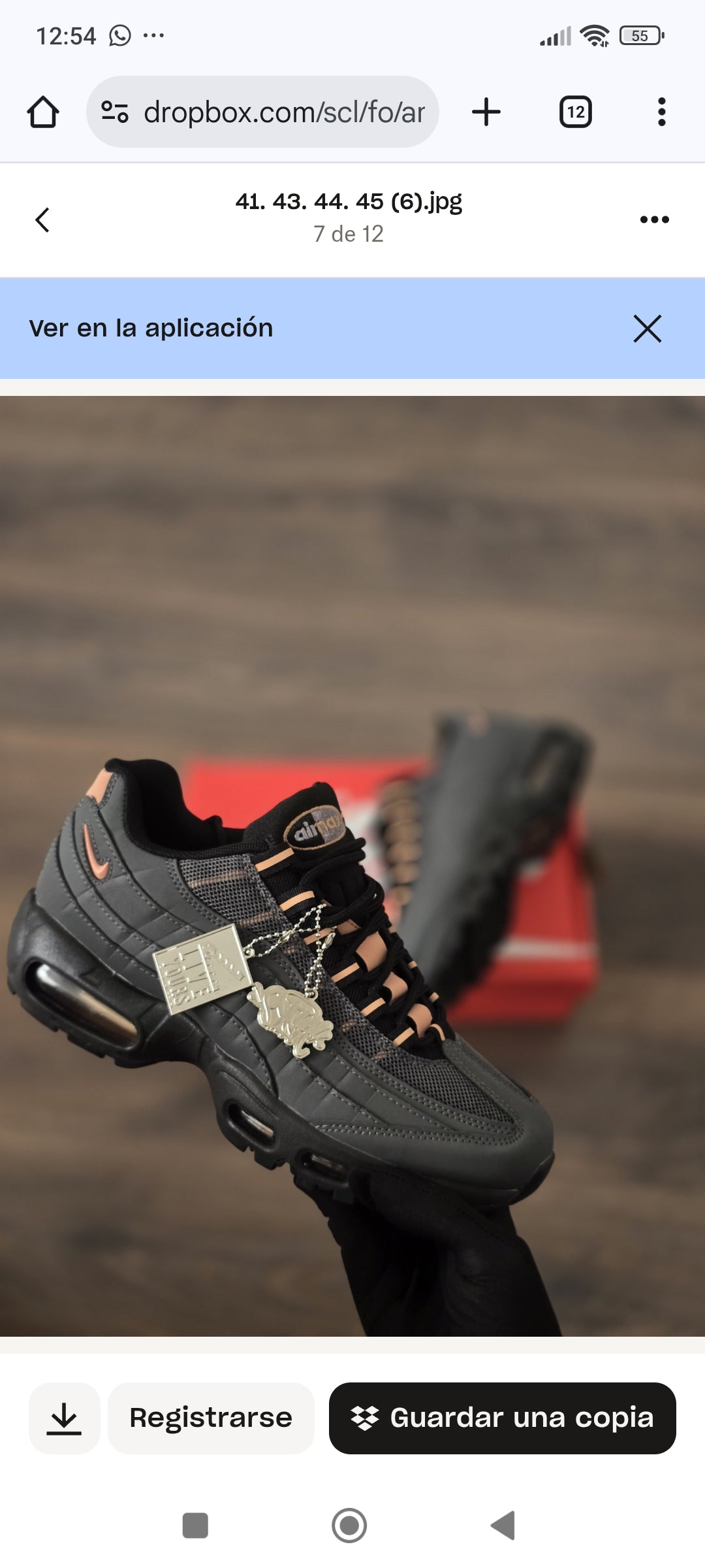 Airmax 95 (Varios Colores)